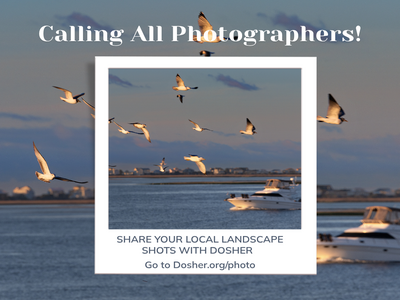 Calling all photographers!
Share your local landscape shots with Dosher
Go to Dosher.org/photo